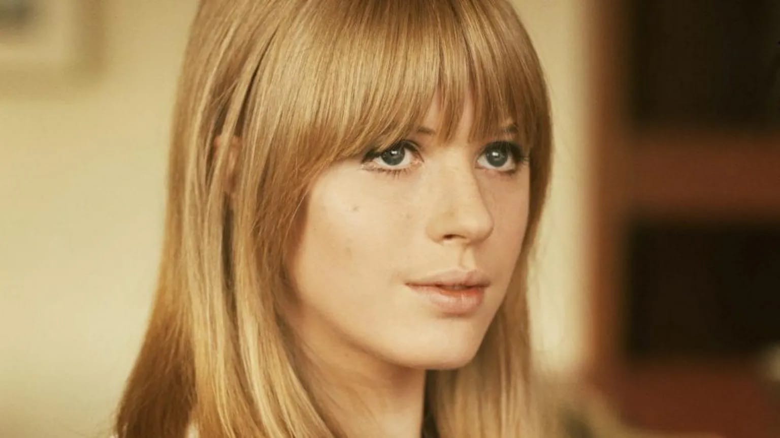 A photo of Marianne Faithful